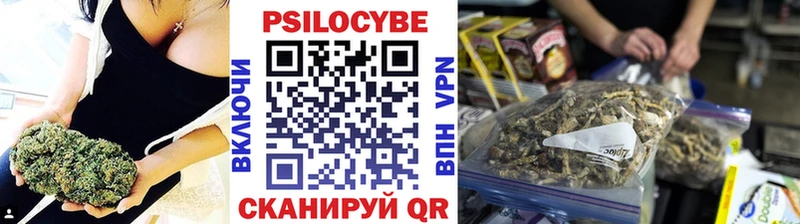 Псилоцибиновые грибы Psilocybe  Приволжский 